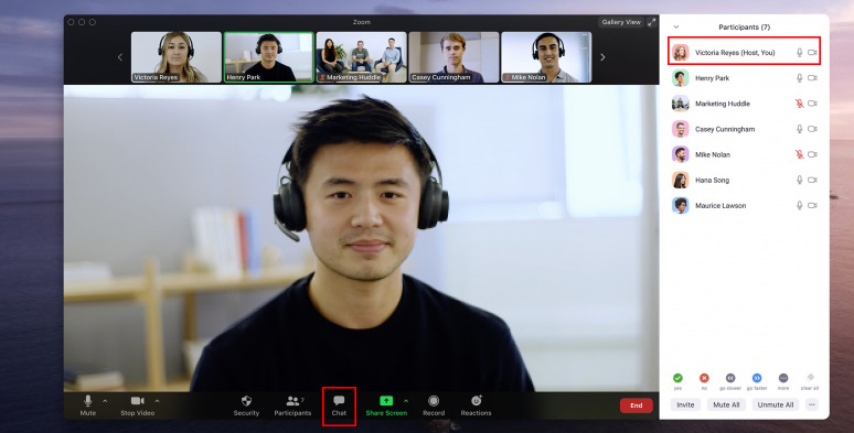 ask permission to record a Zoom meeting from the host